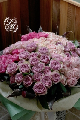 IMGP3166.jpg