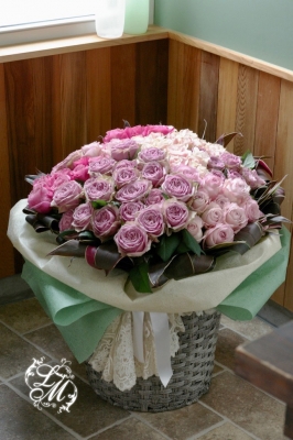 IMGP3174.jpg