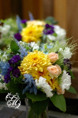 IMGP3509.jpg