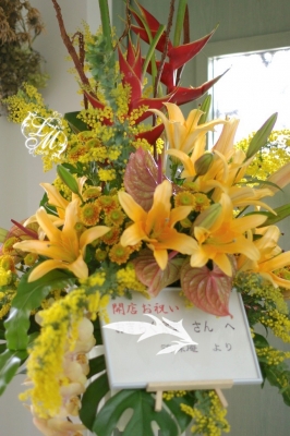 IMGP3544.jpg