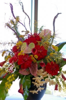 IMGP3575.jpg