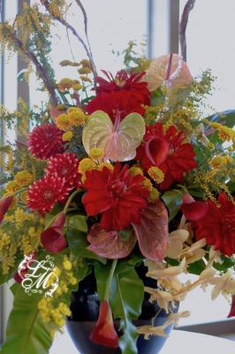 IMGP3576.jpg