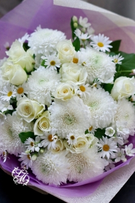 IMGP0108.jpg