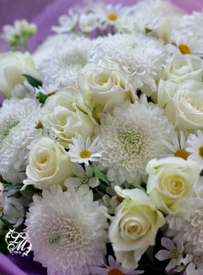 IMGP0111.jpg