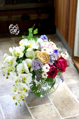 IMGP0537.jpg