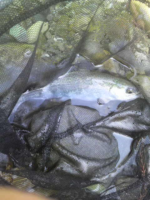 2011041610050000.jpg