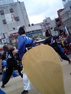 四街道サクラソウ祭り終了