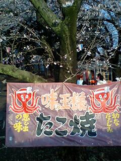 たこ焼きの幕
