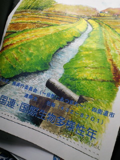 SBCA0870.jpg