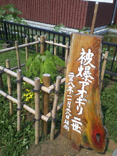 201007221416001.jpg