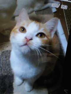 201008161402002.jpg