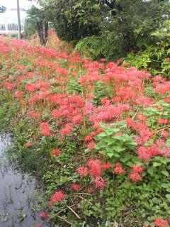 201009281400000.jpg