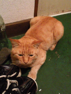 201010130547001.jpg
