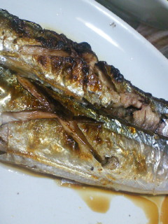 201010122136000.jpg
