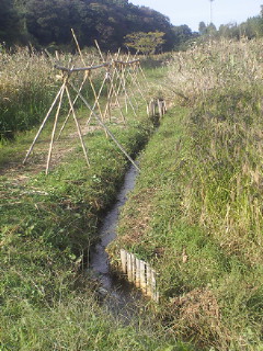 201011021337001.jpg