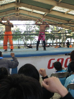 201011131237001.jpg