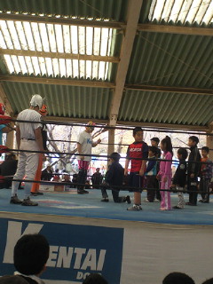 201011131140001.jpg