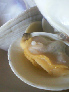 201011231316000.jpg