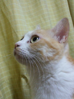 201101112024000.jpg