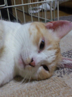 201101132336002.jpg