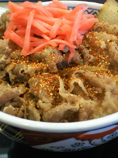 201101131332000.jpg
