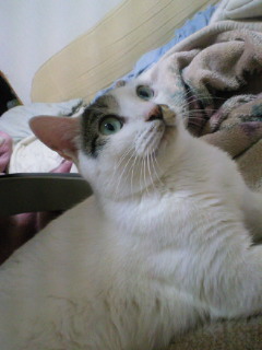 201101262249000.jpg