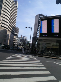 201102021055001.jpg