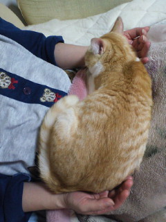 201102042254000.jpg