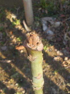 201102041429002.jpg