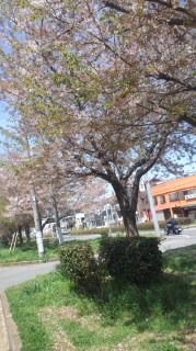 170416_1110~010001.jpg