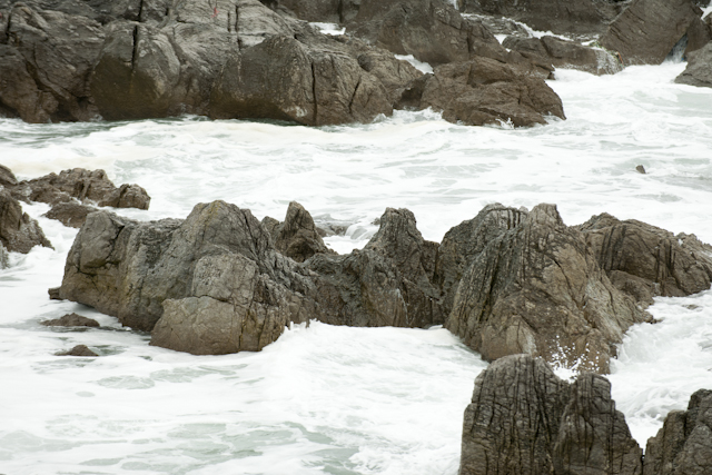 _0039743.jpg