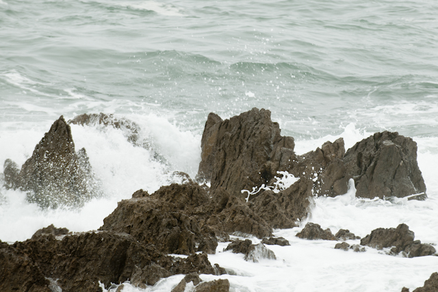 _0039745.jpg