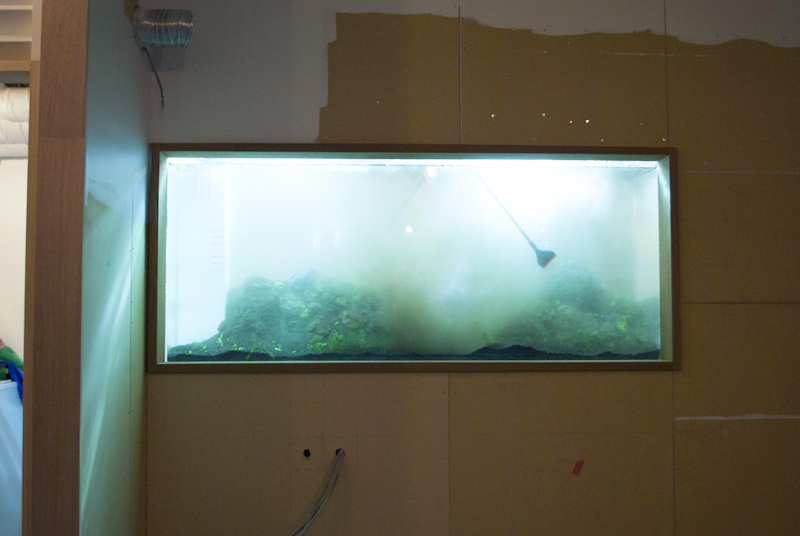 20130228_33.jpg
