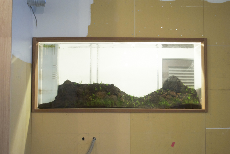 20130228_30.jpg