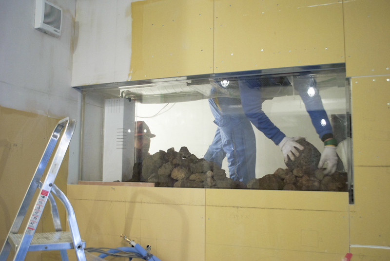 20130228_20.jpg