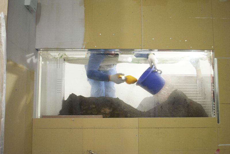 20130228_25.jpg