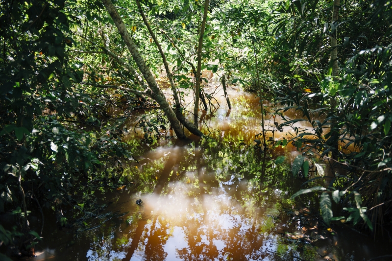 _DSC9856.jpg