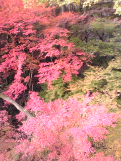 20131203153054.jpg