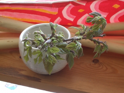 DSCF4378.JPG
