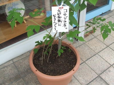 20130804_662213.jpg