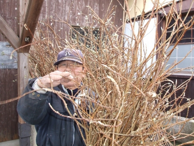 DSCF5482.JPG