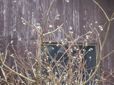 DSCF5483.JPG