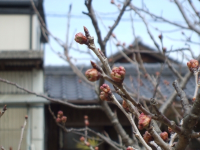 DSCF5572.JPG