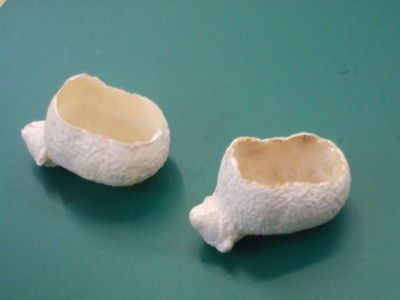 DSCF5526.JPG