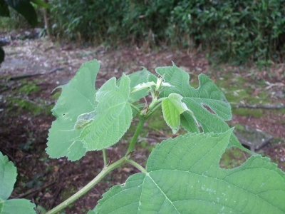 2015.6.30?.JPG