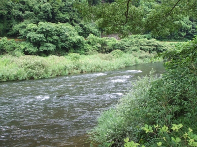 DSCF6018.JPG