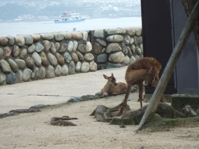 DSCF6740.JPG