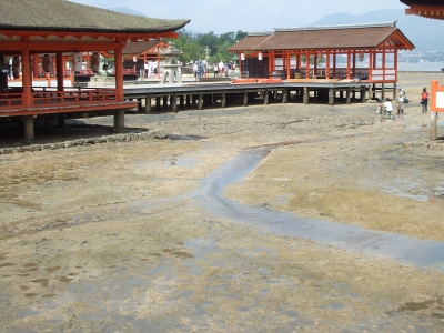 DSCF6742.JPG