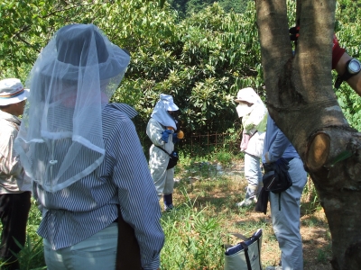 DSCF7375.JPG