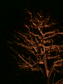 20110317182227.jpg